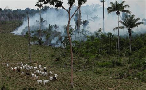 Takeaways from AP’s reporting on an American beef trader’s links to Amazon deforestation