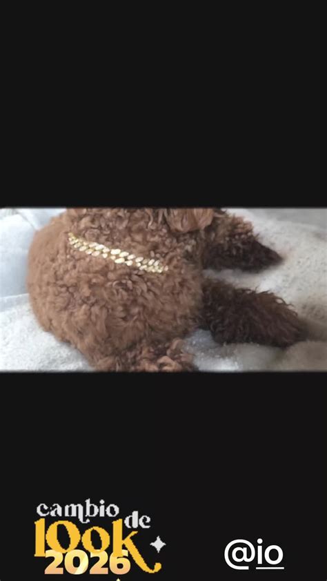 Takeu2Dinner Leaked [SEX VIDEO] 114 Photos