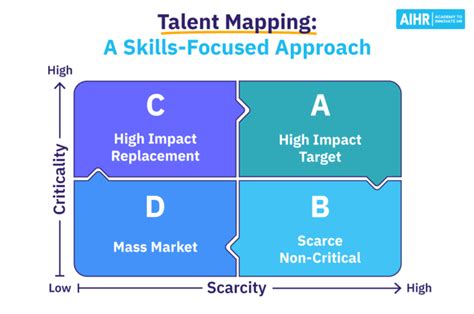 Talent Mapping How HR Can Use a SkillsFocused Approach