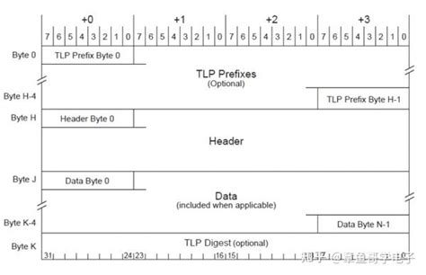 veodersti.rgarabwor.edu.pl. 