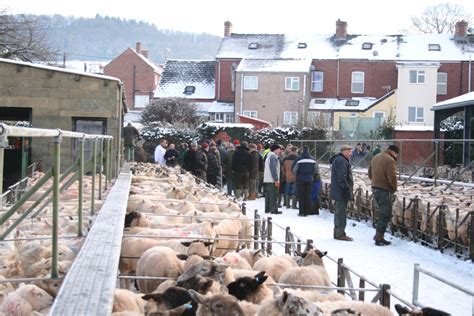 Talgarth Market Christmas Fatstock - Friday 2nd December 2024