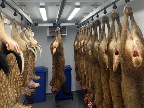 TALK Deer Processing, Goreville, Illinois. 1,326 likes · 73 were here. Deer processing.
