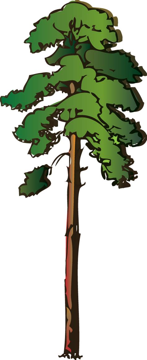 Tall Tree Animation