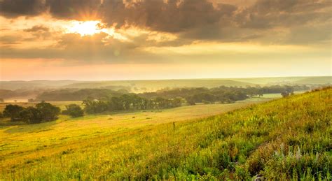 The tallgrass prairie is an astonishing place to run — with rolling hills, bison herds, wildflowers and birds. We take a sunrise run in a tallgrass preserve in Kansas.. 