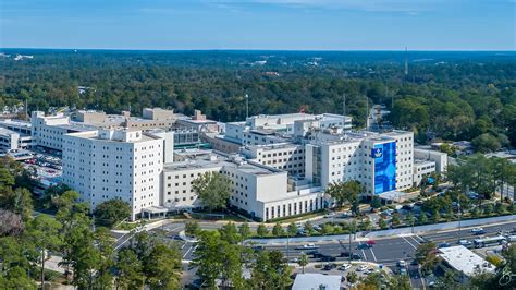 Tallahassee memorial hospital. Things To Know About Tallahassee memorial hospital. 