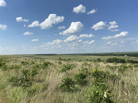 Twice a year for the last 29 years, scientists have waded through the same sections of tallgrass prairie in eastern Kansas and tallied up as many plant species as they could find. The goal was to .... 