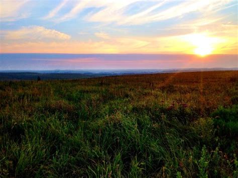Tallgrass Prairie National Preserve is a United States National Preserve located in the Flint Hills region of Kansas, north of Strong City. The preserve protects a nationally significant example of the once vast tallgrass prairie ecosystem. 