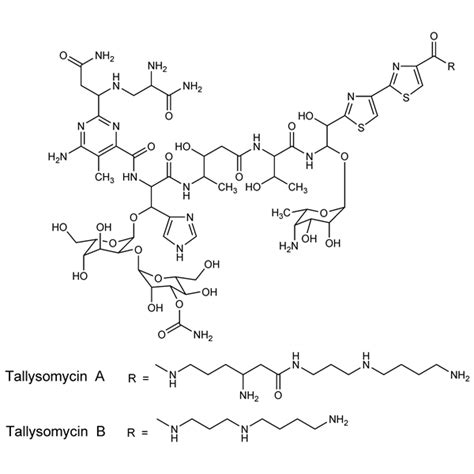 Tallysomycin - DrugFuture