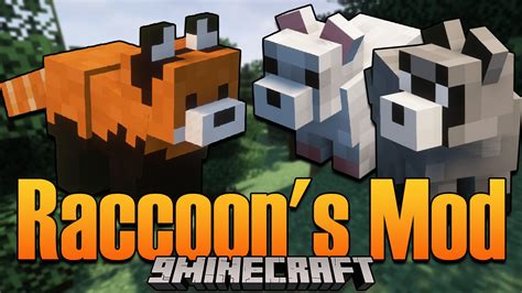 Tamable raccoons – Minecraft Feedback