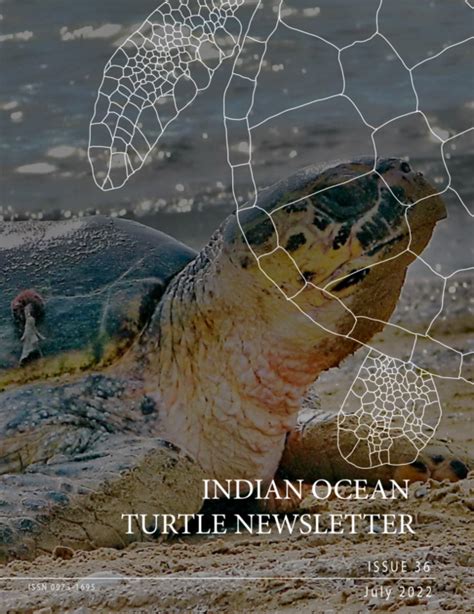 Tamil Nadu and Puducherry - Sea Turtles of India