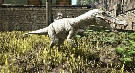 Taming baryonyx. 1) Build a taming pen in a safe place nearby with an open top. 2) Get on your Argy and pluck the Baryonyx out of the swamp. 3) Drop it in the taming pen and knock it out. If that's not an option, you could always try to aggro it with a few arrows and draw it out of the melee, then bola it. 