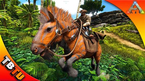 ★Voici comment tamer un Equus sur ARK Survival Evolved .★Liens / Infos :Chaine Twitch : https://www.twitch.tv/xtremgirl_life_and_gamePage Facebook :https://w.... 