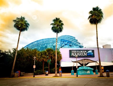 Tampa aquarium florida. Let The Florida Aquarium be your classroom! Students can engage in fun, hands-on learning through group activities, critical thinking, experiments, Aquarium tours and more. ... Tampa, Florida 33602. Hours of Admission. Monday - Sunday: 9:30 AM - 5:00 PM. Phone: (813) 273-4000 Email: … 