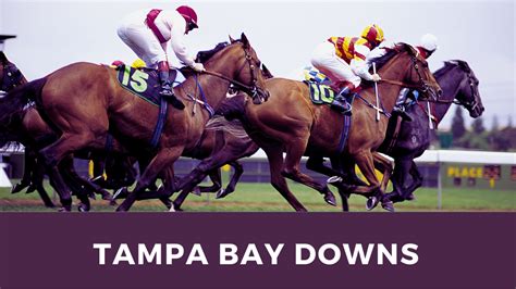 On Saturday, March 12, Tampa Bay Downs will feature four graded stakes races including the Grade II Tampa Bay Derby, which is a Kentucky Derby Prep race. Get my analysis and selections for each stakes race. ... Saturday Tampa Bay Horse Racing Picks: Kentucky Derby Prep Tampa Bay Derby and More. ... Bet up to $1,000 RISK FREE with FanDuel. For .... 