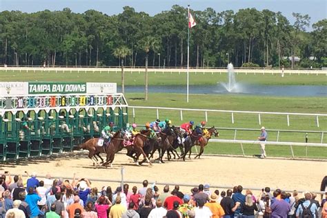 Mar 9, 2022 · Here is a full-field analysis for the Tampa Bay Derby with odds provided by the Horse Racing Nation staff. It is scheduled as race 11 out of 12 with post time set for 5:23 p.m. EST. The forecast calls for a nearly 100 percent chance of rain on Saturday in Tampa. 1. Grantham (20-1 – Declaration of War – Mike Maker / Samy Camacho Use underneath. . 