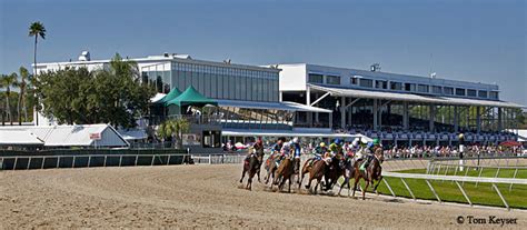 Tampa bay downs race track. Examples: “Tampa Bay Downs, Race 2, $5 to win on number 3, please.” “Tampa Bay Downs, Race 6, $2 exacta box, 4 and 8.” ... 11225 Race Track Road Tampa, Florida 33626 +1 (813) 855-4401. info@tampabaydowns.com. Newsletter Signup. First Name* Last Name* E-mail* By checking this box, you agree to receive emails with exclusive … 