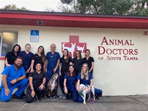 Tampa bay veterinary specialists. After graduating from the University of Pennsylvania in 2000 she completed an internship at Georgia Veterinary Specialists in Atlanta, ... She headed down to the Tampa Bay area in 2005 and started working at Tampa Bay Veterinary Specialists where she was for 15yrs and then moved to CARE for 2 years before deciding to start a mobile internal ... 