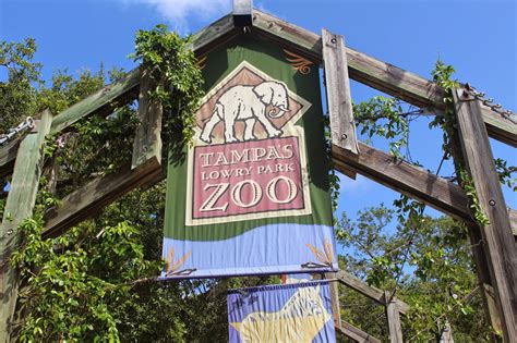 Tampa bay zoo. Things To Know About Tampa bay zoo. 