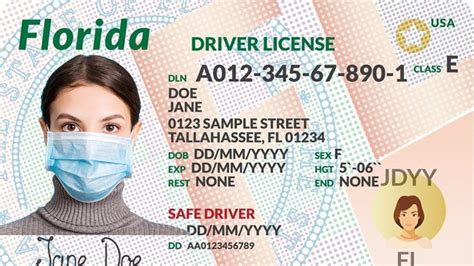 Tampa Driver License Office Address 14755 North Dale 
