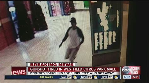Tampa mall shooting. Things To Know About Tampa mall shooting. 