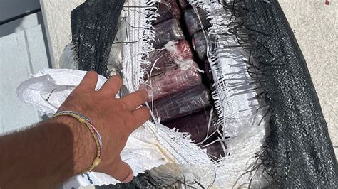 Tampa mayor makes $1.1M cocaine catch while fishing in Florida Keys with family