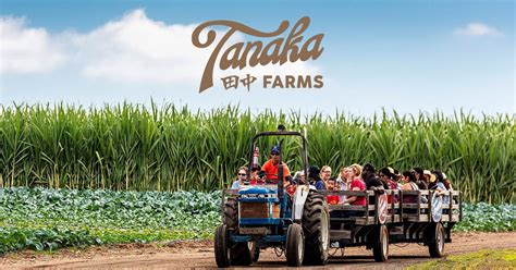 Tanaka farms organic. .  <a href=https://uvote.mgientertainment.us/assets/images/md2by...
