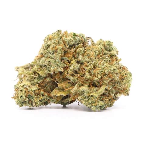 Tangerilla strain. This strain is a grower's dream, yielding an astonishing 650 g/m2 of first-rate buds that never compromise on quality. Notably, the Gorilla Cookies FF stands out with its phenomenal THC content, registering a staggering 29%. The buds are visual masterpieces—dense and dripping with resin. 