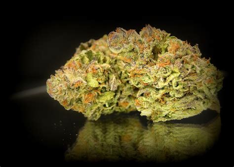 Tangerine Marijuana Strain Information & Reviews AllBud