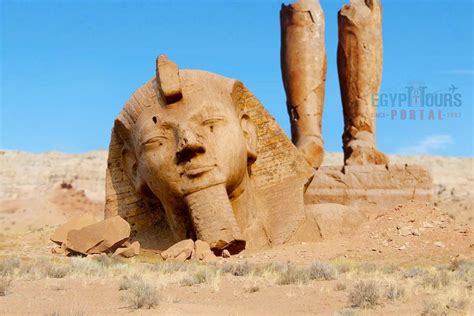 Tanis Halı ve Koltuk Yıkama