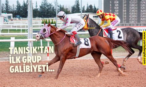 Tanisik Halı ve Koltuk Yıkama