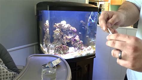 Tank dying after chemiclean - REEF2REEF Saltwater and …