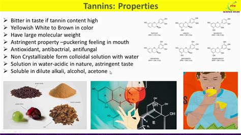 Tannin source crossword. Tannins: Major Sources, Properties and Applications. This chapter provides a brief historical introduction and the distinction between hydrolysable and condensed tannins, a description of their chemistry and a short historical review on their use in leather tanning, the more recent developments in tannins for adhesives with and without the use ... 