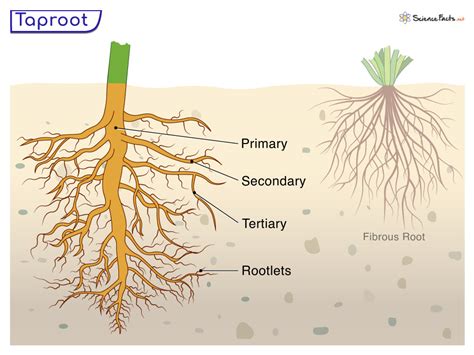 TapRooT® & Cority: Great Software Partnership for Root Cause