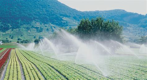 veodersti.rgarabwor.edu.pl. 