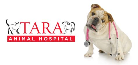 Tara animal hospital. Things To Know About Tara animal hospital. 