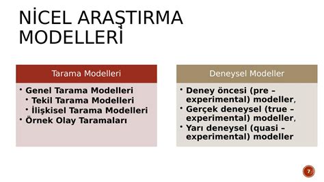 Tarama modeli