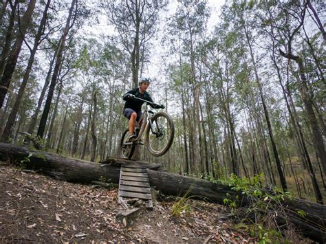 Taree MTB trails A guide to Kiwarrak State Forest