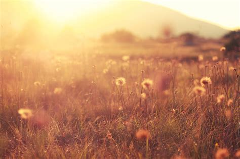 Taree funerals listed this week.  WT Howard Funerals L.  Live streaming can help conne...
