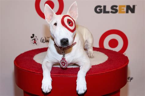 Target dog: Bullseye the official Target mascot - Dogalize