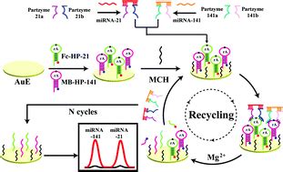 Target-driven assembly of DNAzyme probes for simultaneous ...