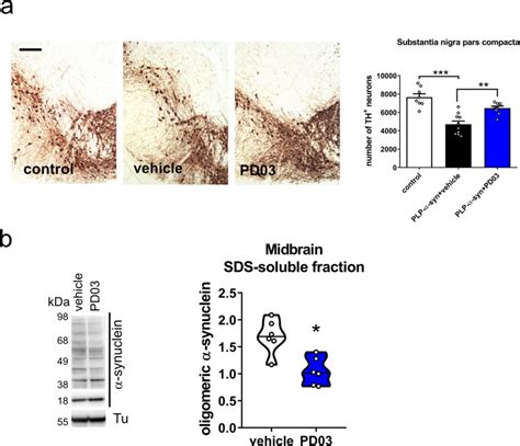 Targeting α-synuclein by PD03 AFFITOPE® and Anle138b rescues ...