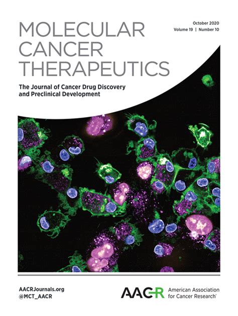 Targeting Multiple EGFR-expressing Tumors with a Highly Potent …