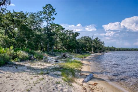 Ask pvan2018 about Tarkiln Bayou Preserve State Park. Thank pvan2018 . This review is the subjective opinion of a Tripadvisor member and not of Tripadvisor LLC. Tripadvisor performs checks on reviews as part of our industry-leading trust & safety standards. Read our transparency report to learn more.. 