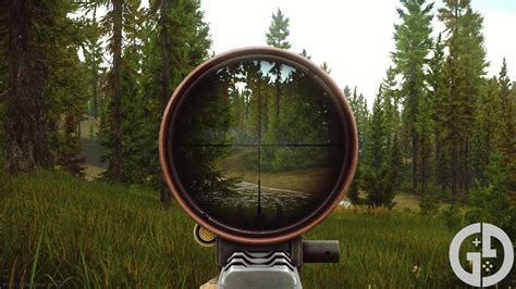 Tarkov best sights 2024. .  ...