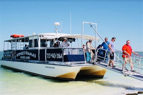 27 août 2023 ... Tours and Attractions at Tarpon Springs Sponge Dock · Island Adventure Dolphin Cruise · Island Wind Tours · Dolphin Deep Sea Fishing · Odyssey .... 