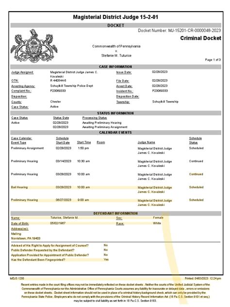 Tarrant county magistrate docket. 1.  Magistrate courts handle bail, arraignment, and prel...