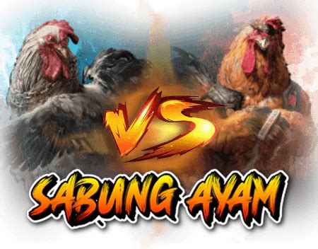Taruhan bola piala dunia 2024. Sabung ayam online 24 jam. Prediksi nomor togel hari.