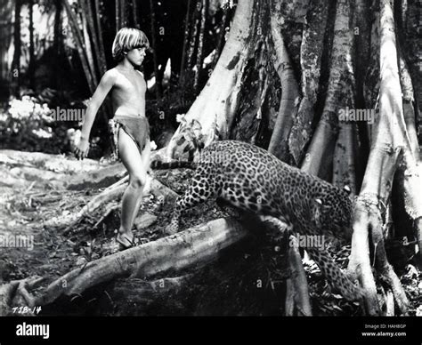 Tarzan boy. Things To Know About Tarzan boy. 
