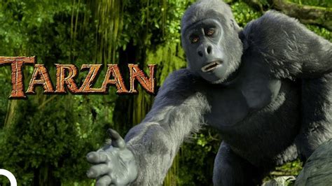 Tarzan cizgi filmi türkçe