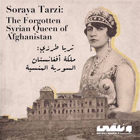 Tarzi Leaked (SEX) 115 Vids